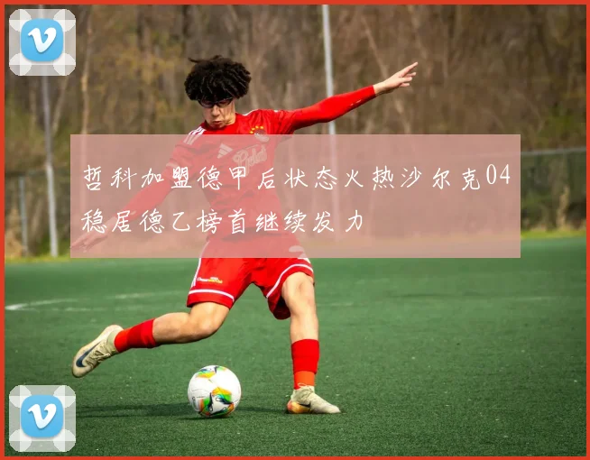 哲科加盟德甲后状态火热沙尔克04稳居德乙榜首继续发力