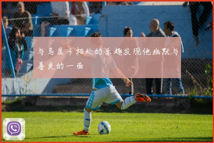 与乌度卡相处的乐趣发现他幽默与善良的一面