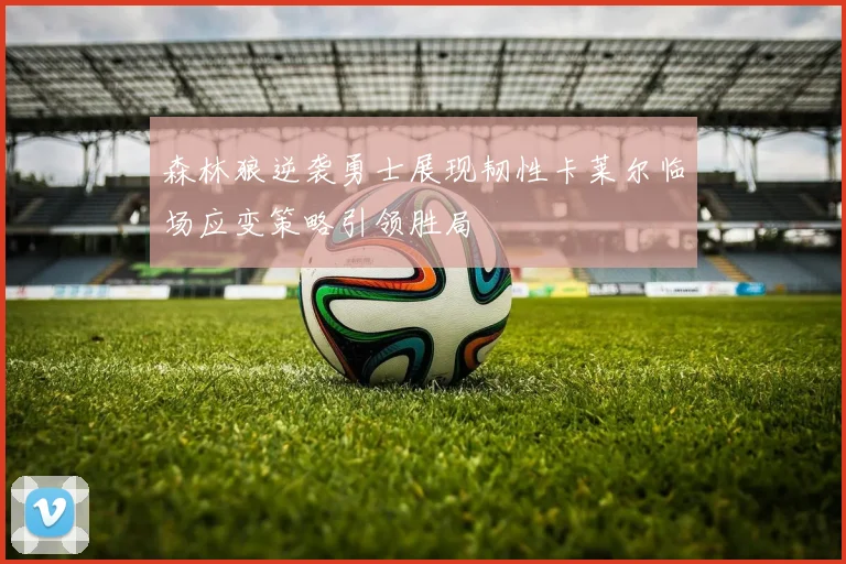 森林狼逆袭勇士展现韧性卡莱尔临场应变策略引领胜局